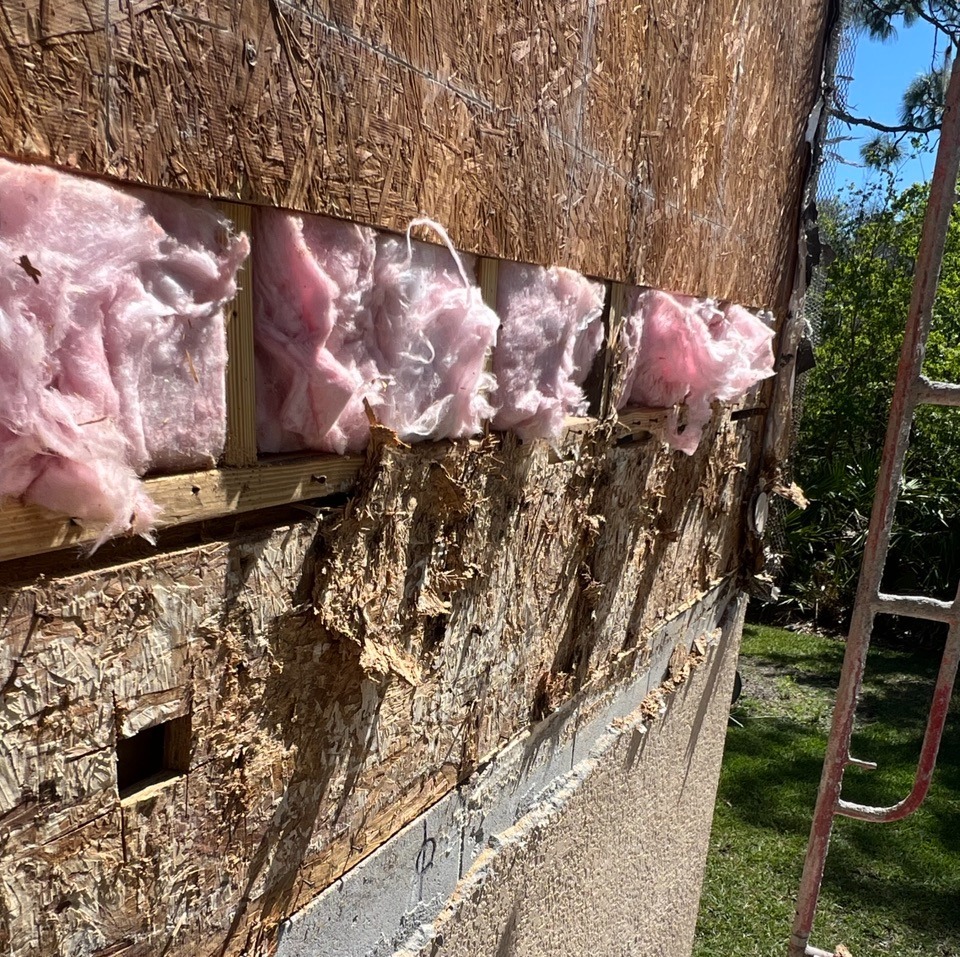 70050368808__498D92D7-DBF3-4A5E-A9B9-9ACBB25150D6